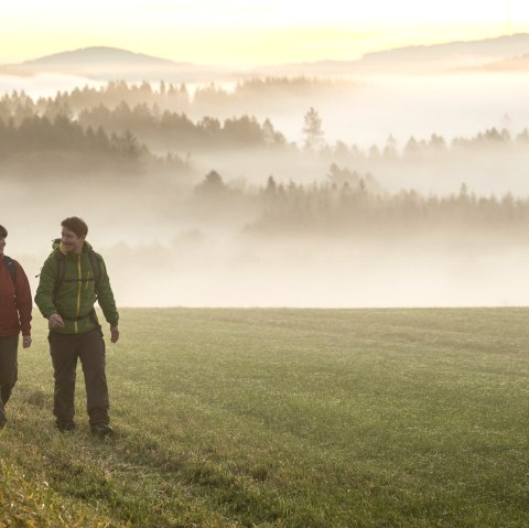 Wanderer Eifelsteig, © Eifel Tourismus GmbH, Dominik Ketz