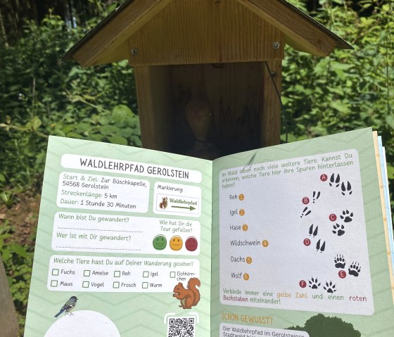 There is a stamp station on the Gerolstein forest nature trail for our Wander(S)pass for kids., © Touristik GmbH Gerolsteiner Land, Leonie Post