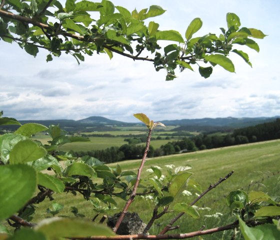 Ausblick Leudersdorf, © Touristik GmbH Gerolsteiner Land, Ute Klinkhammer