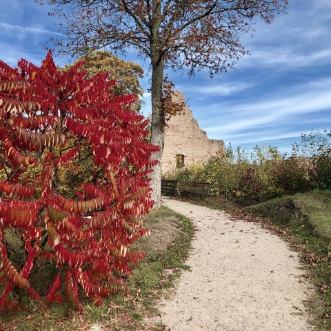 Löwenburg im Herbst