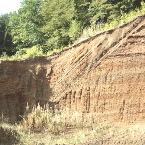 Rockeskyller Kopf, © Tourist-Information Gerolsteiner Land