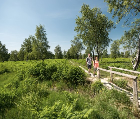 Wanderung durch die Struffelt Heide am Eifelsteig, © Eifel Tourismus/D. Ketz