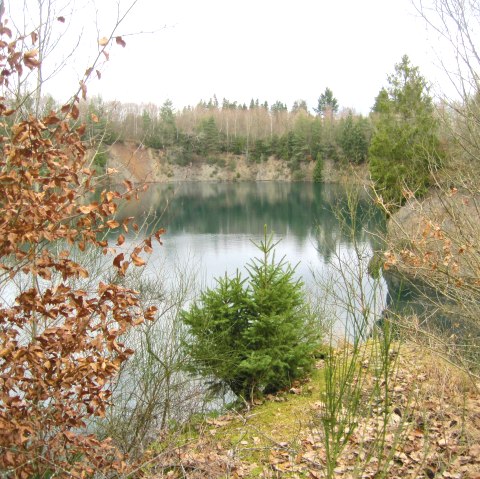 Hoffelder Burgkopf, © Touristik GmbH Gerolsteiner Land, Ute Klinkhammer