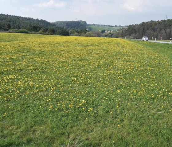 Blick auf Nohn