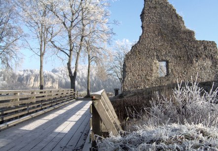 Gerolstein_Löwenburg_Winter