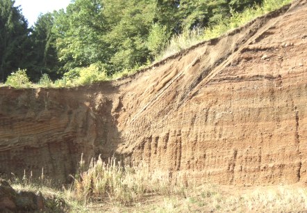 hakenschlagbock-2, © TW Gerolsteiner Land GmbH