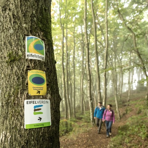 ET-2017-198 Gerolsteiner Dolomiten-Acht_Felsenpfad_Wald_Wandern_Paar_Eifelsteig © Dominik Ketz, © Eifel Tourismus GmbH, Dominik Ketz