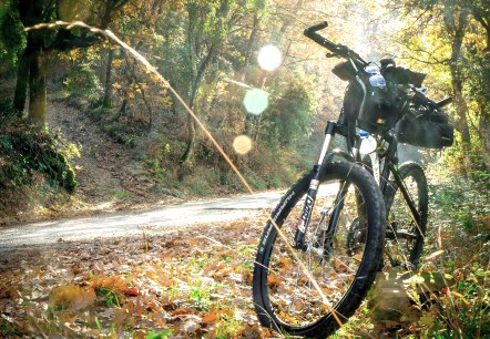 Radfahren im Herbst, © Pixabay