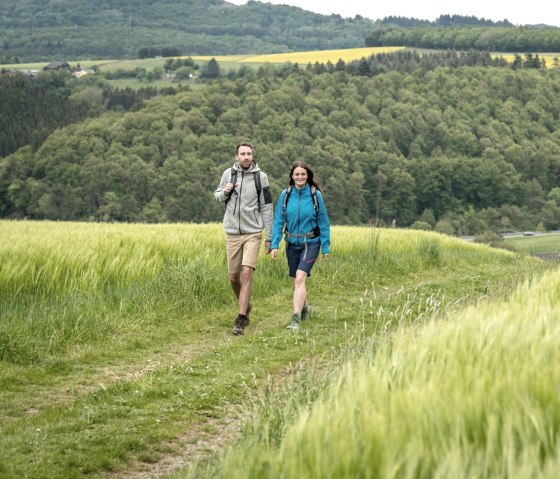 Wandere durch Felder und Wiesen am Hochkelberg Panorama-Pfad, © Eifel Tourismus GmbH, D. Ketz