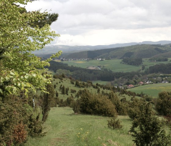 blick-auf-niederehe, © esther-erharter-tourist-information-gerolsteiner-land