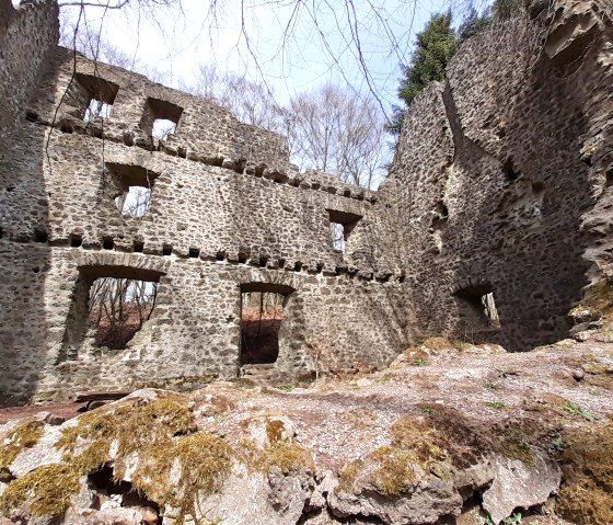 Burgruine Freudenkoppe (2), © Touristik GmbH Gerolsteiner Land, Ute Klinkhammer