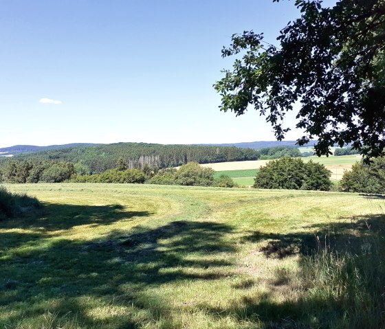 Aussichtspunkt Mühlsteinweg (1), © Touristik GmbH Gerolsteiner Land, Ute Klinkhammer