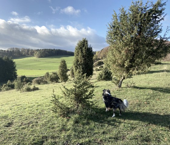 Hönselberg, © Judith Pütz-Kurth