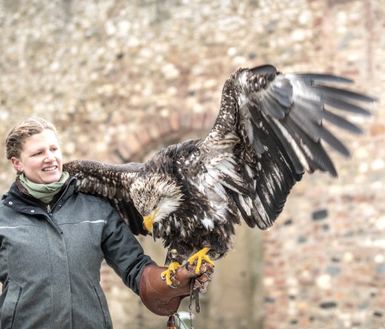 Adler und Wolfspark Falknerin mit Adler, © Eifel Tourismus GmbH, Dominik Ketz