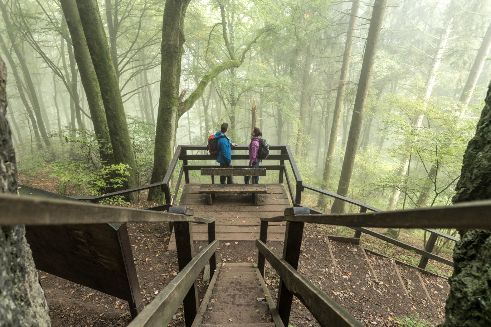 Wandern Felsenpfad, © Eifel Tourismus GmbH, Dominik Ketz