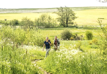 Wandern, © Eifel Tourismus GmbH, Dominik ketz