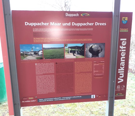 Infotafel Duppacher Maar und Duppacher Drees, © Touristik GmbH Gerolsteiner Land, Ute Klinkhammer