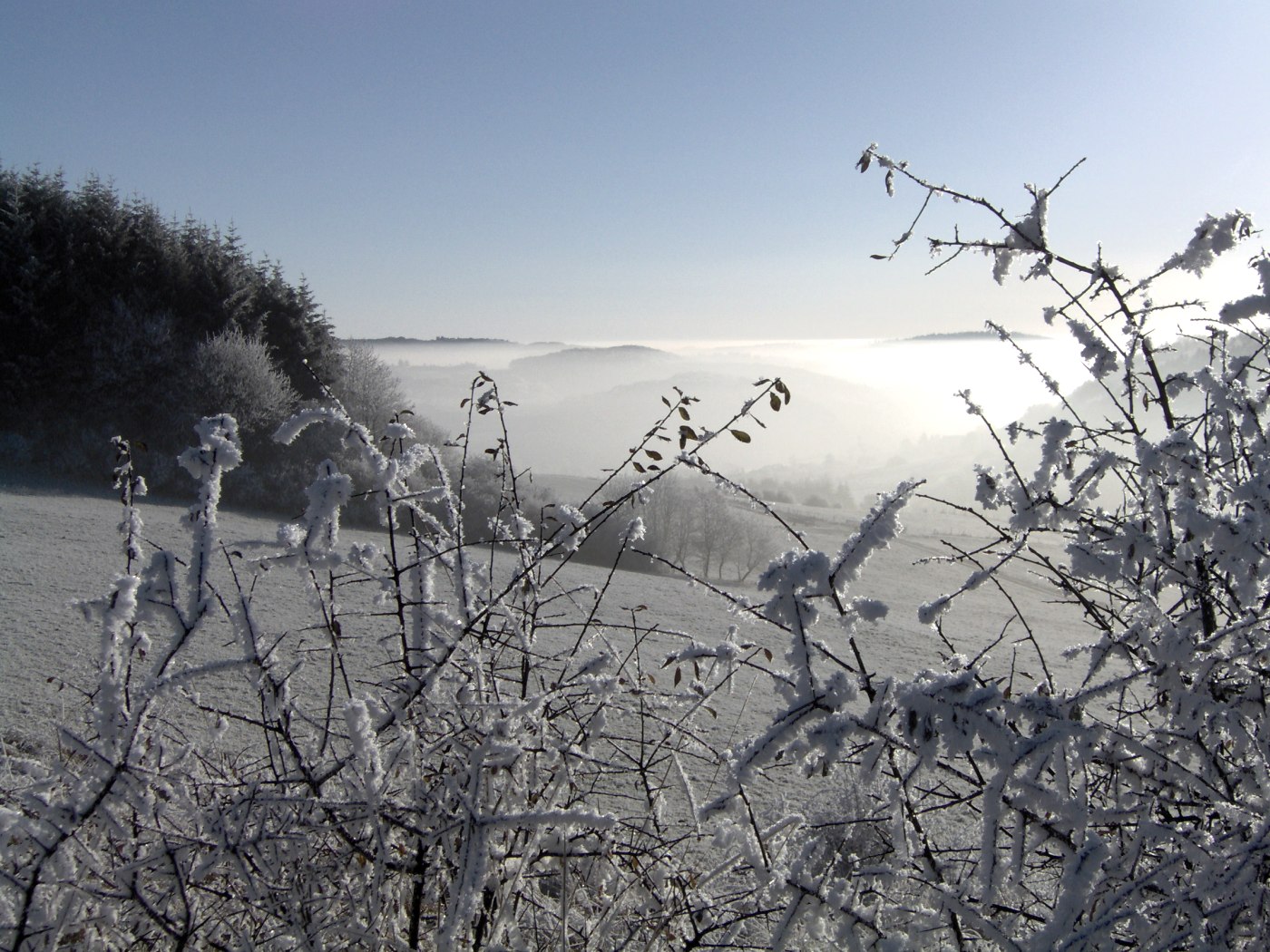 Winterlandschaft, © Touristik GmbH Gerolsteiner Land