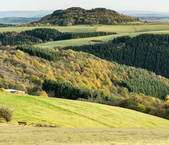 Aussicht auf den vulkanischen Mosenberg am VulkaMaar-Pfad, © Eifel Tourismus GmbH - D. Ketz