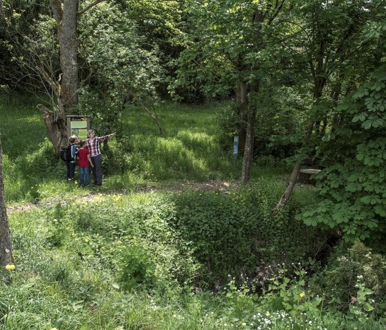 Quelle am Laubachshof, © Bitte die Fotos nur nach Rücksprache mit uns in den sozialen Medien veröffentlichen, wie möchten diese exklusiv halten. Eine Veröffentlichung auf eurer Homepage oder in Prospekten ist kein Problem.