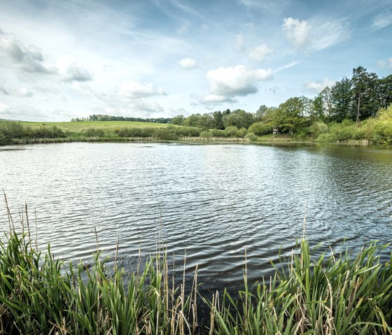 Vulcanpfad, Eichholzmaar, © Eifel Tourismus GmbH, Dominik Ketz