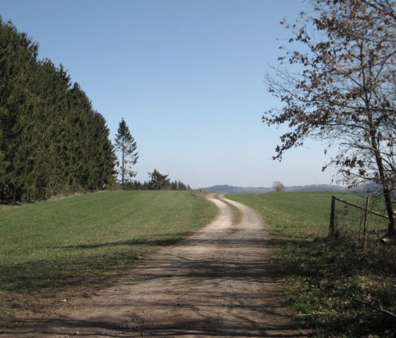 saengscheid