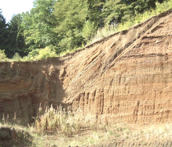 hakenschlagbock-2, © TW Gerolsteiner Land GmbH