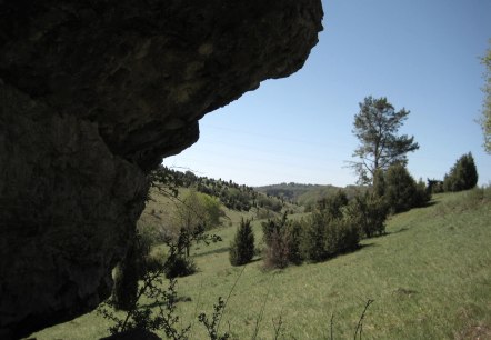 blick-vom-hippelsteinchen