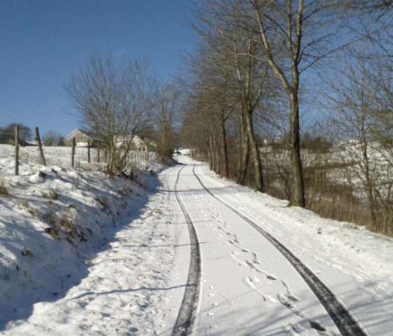 Winterlandschaft