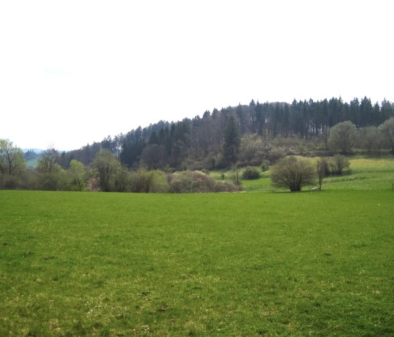 Ausblick Wanderweg, © Touristik GmbH Gerolsteiner Land, Ute Klinkhammer