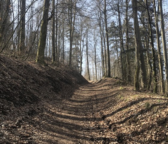 Herfstig bospad in het stadsbos van Gerolstein., © Touristik GmbH Gerolsteiner Land, Leonie Post