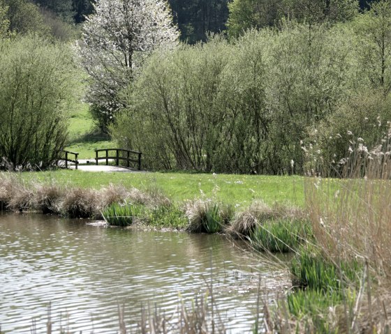 bolsdorfer-taelchen-regnery03