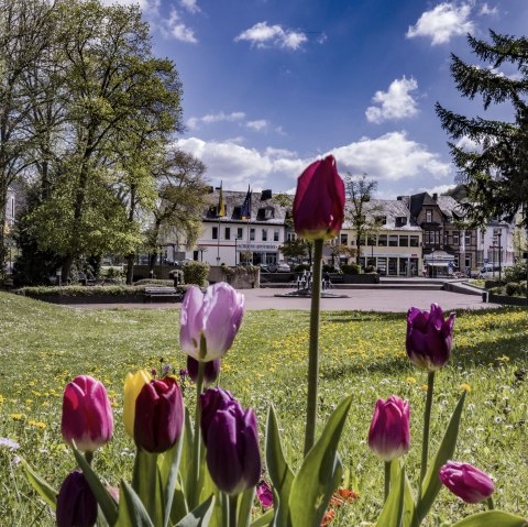 Frühlingserwachen in Gerolstein, © Martin Müller