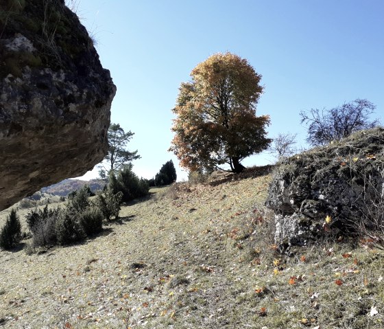 am-hippelsteinchen-goennersdorf