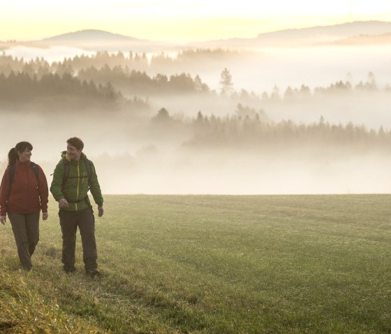 Wanderer Eifelsteig, © Eifel Tourismus GmbH, Dominik Ketz