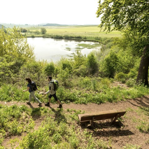 3-Tage Wanden ohne Gepäck, © Eifel Tourismus GmbH, Dominik Ketz