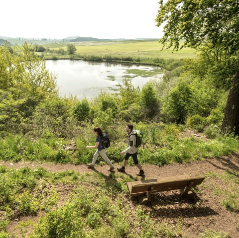 et-2019-360-vulcanpfad-eichholzmaar-eifel-tourismus-gmbh-dominik-ketz_2, © Eifel Tourismus GmbH, Dominik Ketz