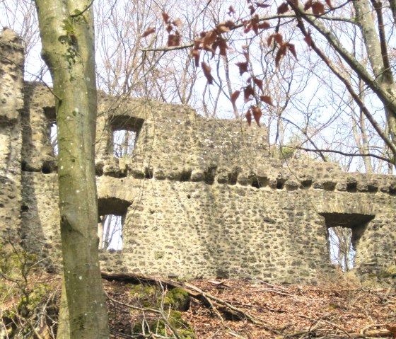 Burgruine Freudenkoppe Neroth, © Touristik GmbH Gerolsteiner Land, Ute Klinkhammer