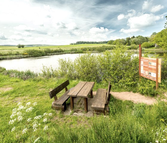 Rustbank met informatiebord op het idyllische Eichholzmaar bij Steffeln., © Eifel Tourismus GmbH, Dominik Ketz