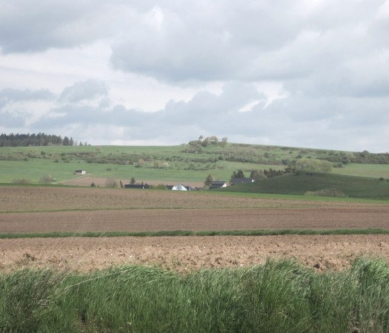 Ausblick Maar-Runde, © Touristik GmbH Gerolsteiner Land - Ute Klinkhammer