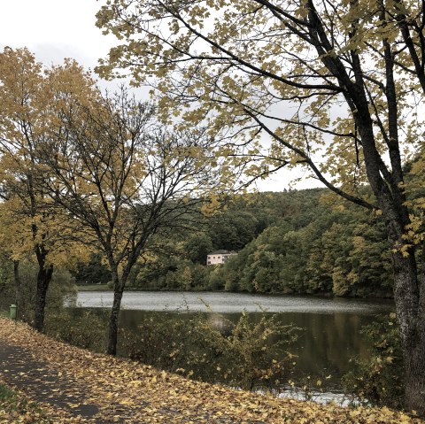 wirftstausee-stadtkyll-herbst