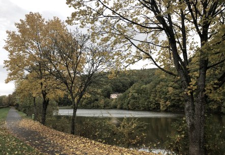 wirftstausee-stadtkyll-herbst