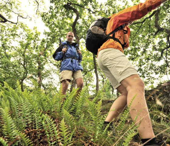 Wandern, © Rheinland Pfalz Touristik