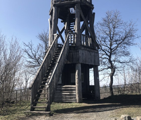 De houten observatietoren op de voormalige vulkaan Dietzenley., © Touristik GmbH Gerolsteiner Land, Leonie Post