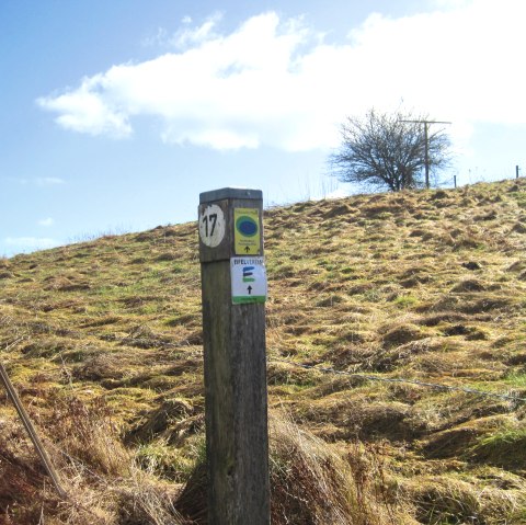 Wanderweg Pfeiler, © Touristik GmbH Gerolsteiner Land, Ute Klinkhammer