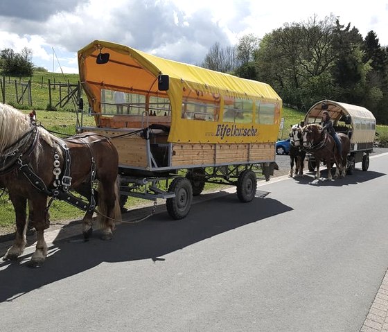 Planwagenfahrt Eifelkutsche, © Barger