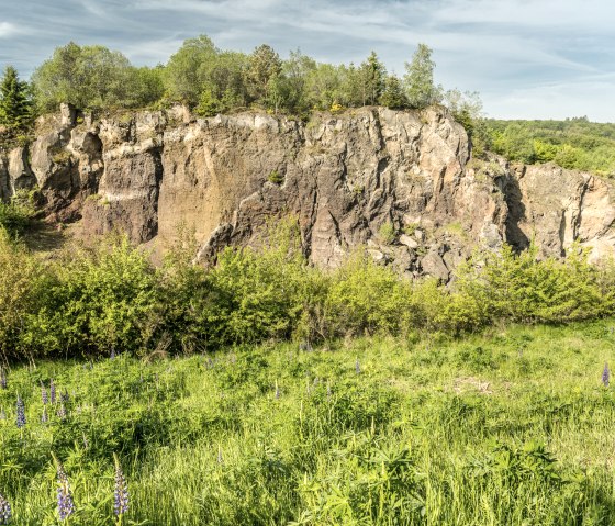 ET-2019-303-Vulcanpfad, Thron am Steffelnkopf © Eifel Tourismus GmbH, Dominik Ketz, © Eifel Tourismus GmbH, Dominik Ketz