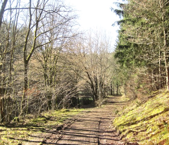 Wanderweg Rund um Nohn, © Touristik GmbH Gerolsteiner Land, Ute Klinkhammer