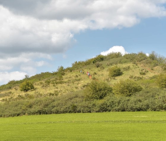 003-wandergruppe-auf-dem-rother-kopf-c-thomas-hendele