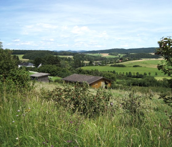 Blick vom Hönselberg, © Touristik GmbH Gerolsteiner Land, Ute Klinkhammer